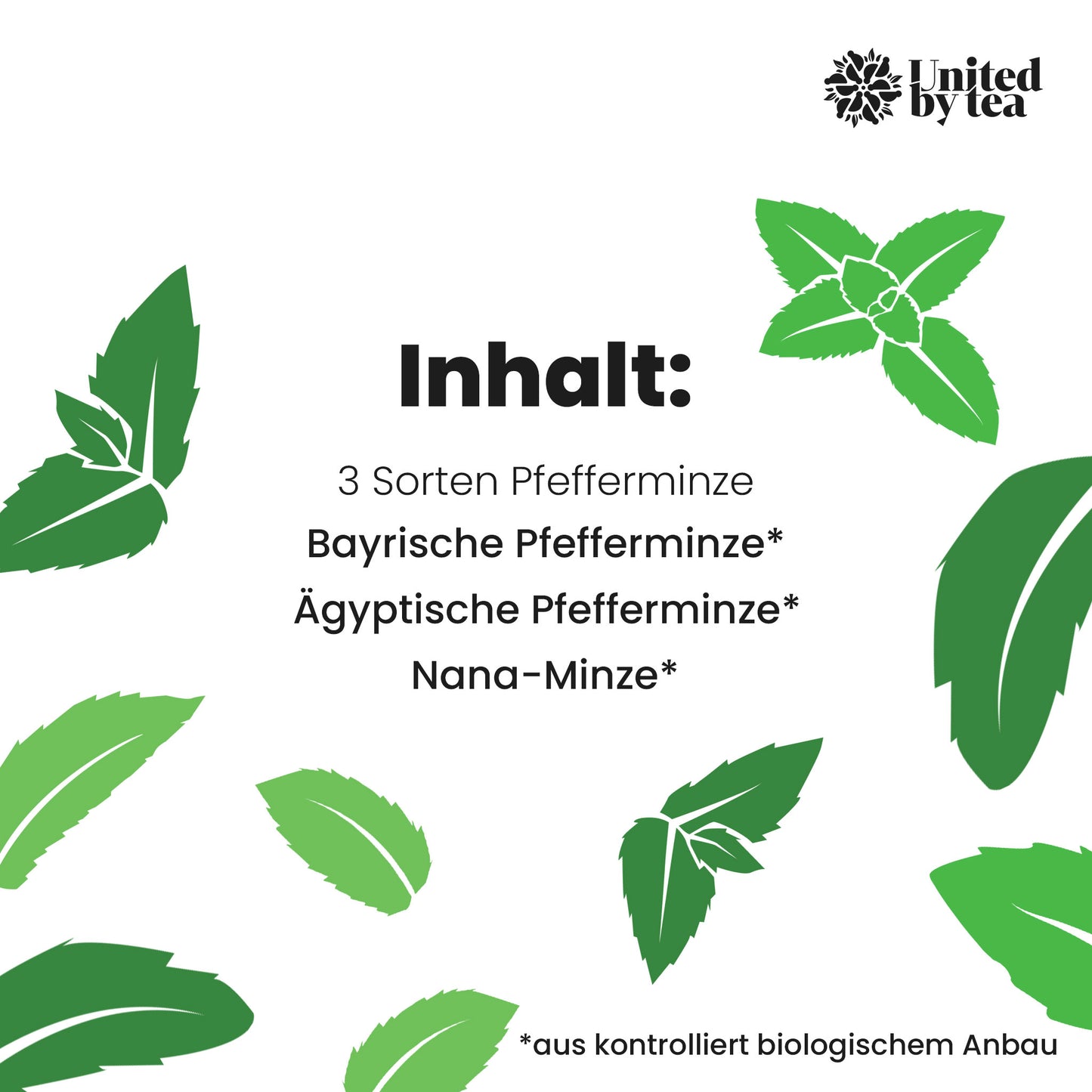 Mighty Mint