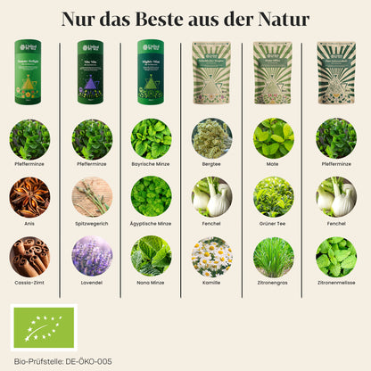 6er-Kräutertee-Set