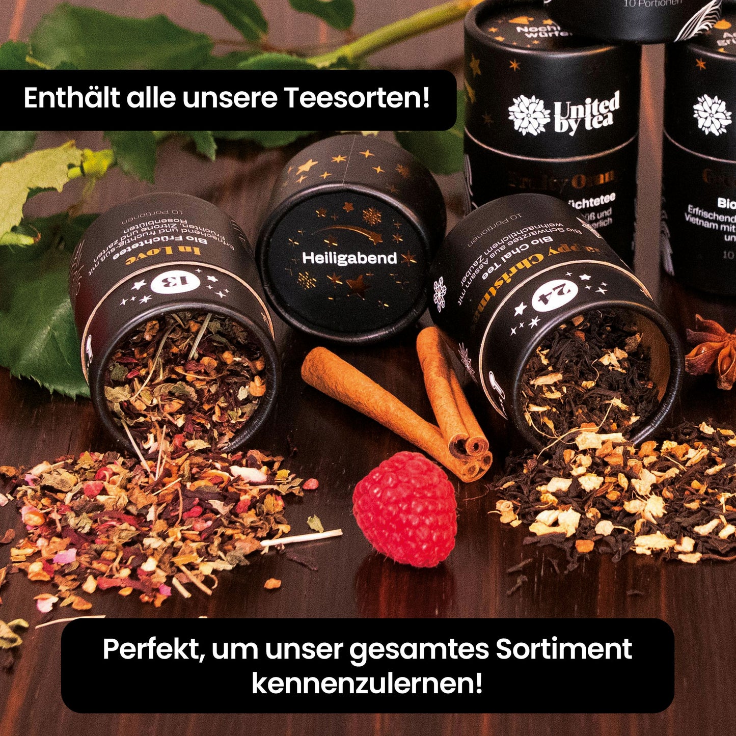 United by Tea Adventskalender