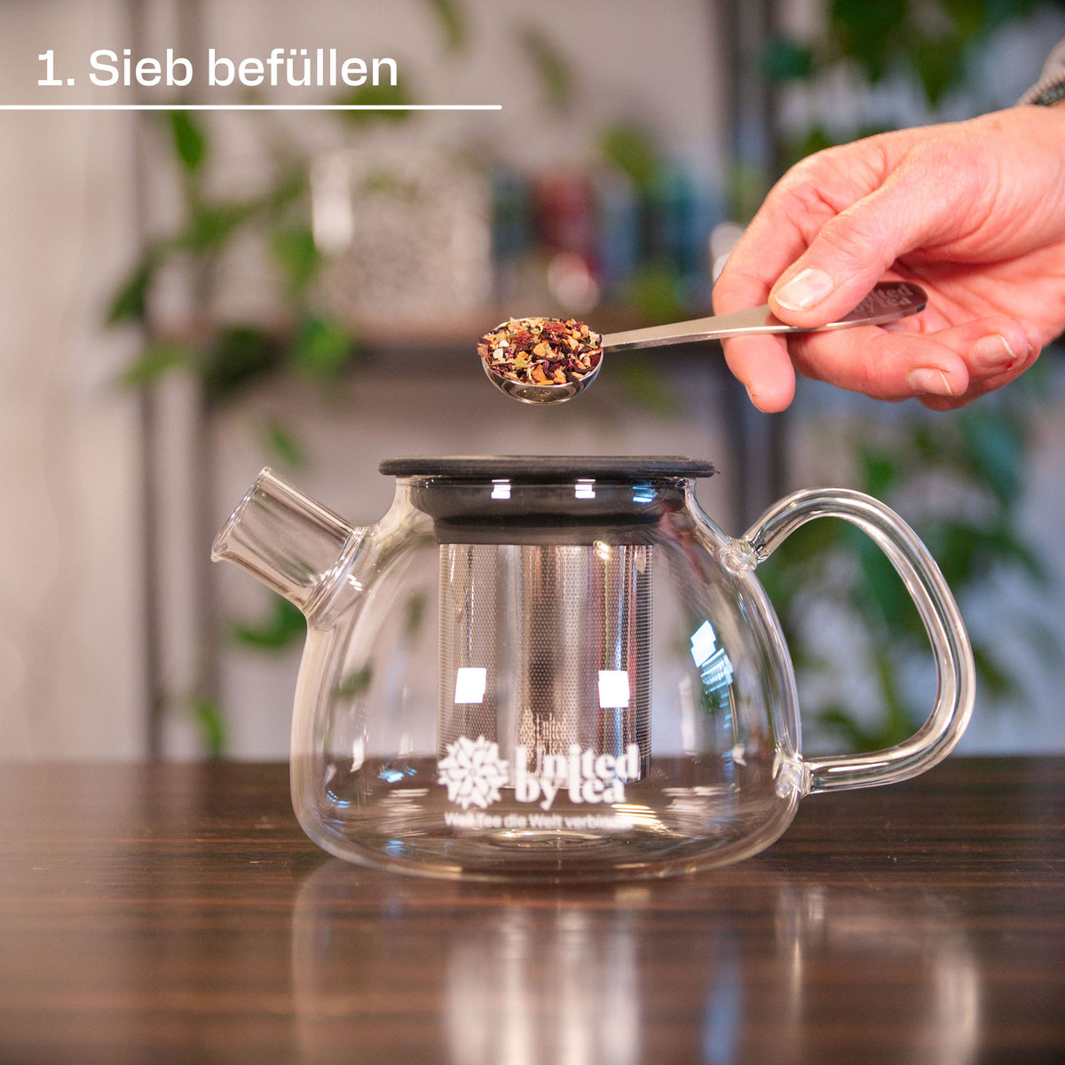 Teekanne aus Borosil-Glas – United by Tea